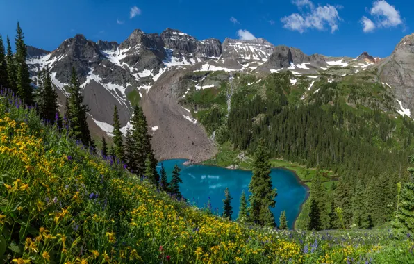 Картинка деревья, цветы, горы, озеро, Колорадо, Colorado, Скалистые горы, Rocky Mountains