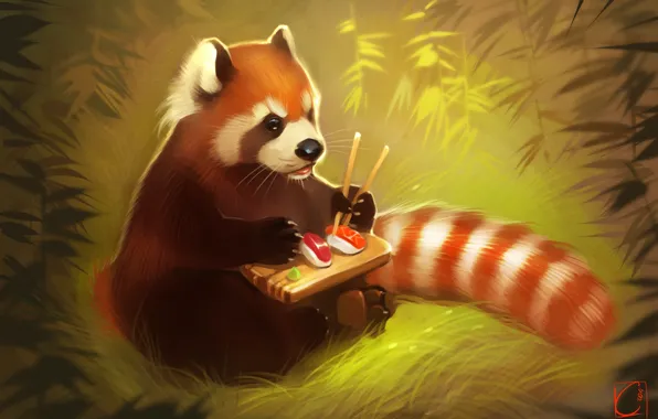 Медведь, арт, панда, суши, red panda
