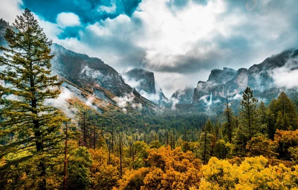 Осень, лес, деревья, горы, долина, Калифорния, California, Yosemite Valley