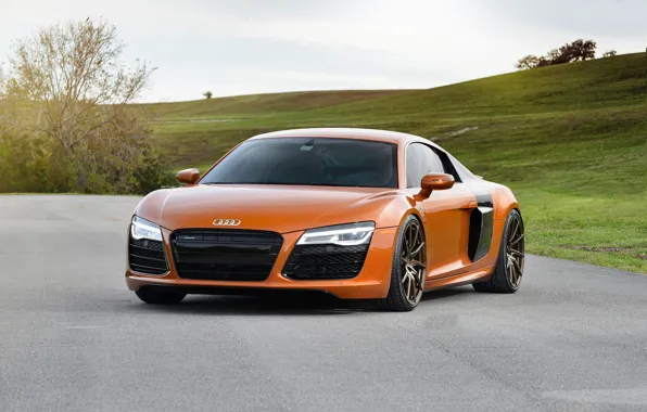 Картинка Audi, Orange, Wheels, Strasse, Samo, r8