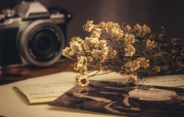Цветы, старина, память, стиль, ретро, бумага, стол, фотография