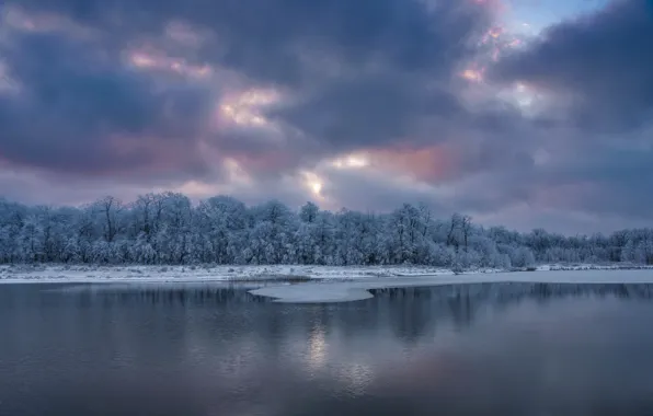 Картинка зима, лес, природа, озеро