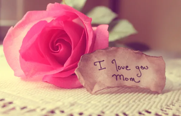 Любовь, роза, записка, слова, мама, скатерть