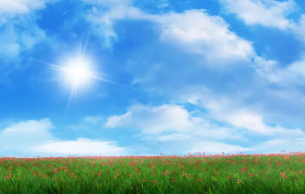 Картинка поле, трава, солнце, цветы, арт, красные