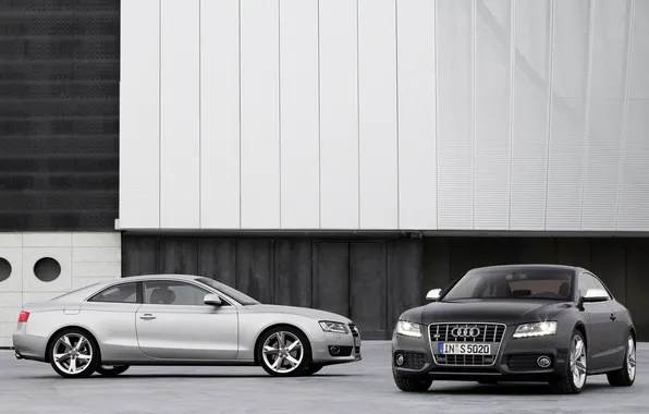 Машины, серый, Audi, черный
