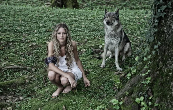 Картинка девушка, фон, волк