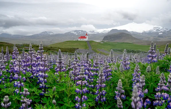 Iceland, West, Hellissandur