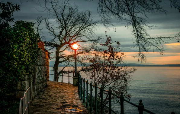 Картинка деревья, закат, ветки, берег, вечер, фонарь, залив, Хорватия