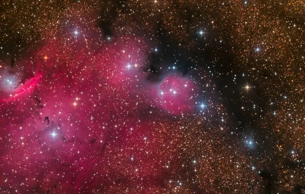 Туманность, Стрелец, NGC 6559, в созвездии, эмиссионная