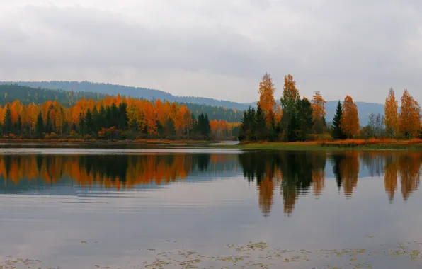 Осень, отражения, деревья, горы, озеро, пасмурно, Природа, colors