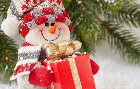 Ветки, коробка, шапка, Новый Год, подарки, снеговик, хвоя, шарфик