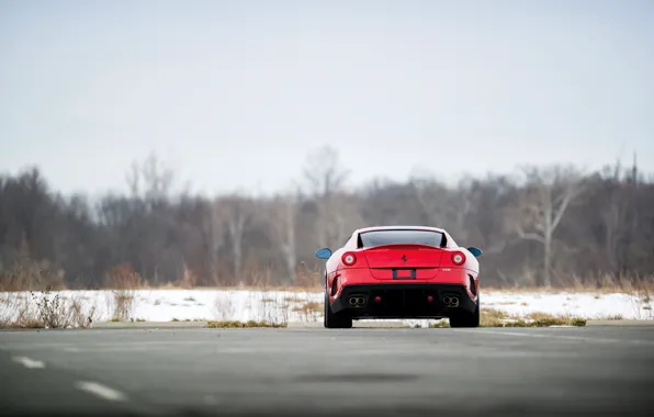 Ferrari, 599, rear, Ferrari 599 GTO