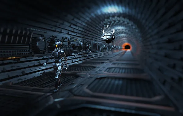 Робот, тоннель, Inspection