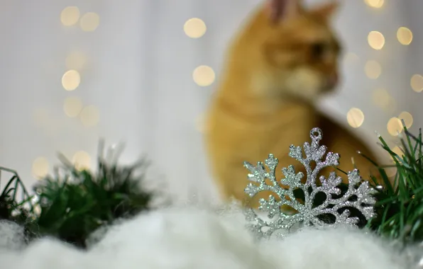 Кошка, кот, праздник, рыжий, Рождество, Новый год, сидит, снежинка