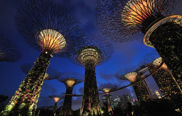 Ночь, огни, парк, подсветка, Сингапур