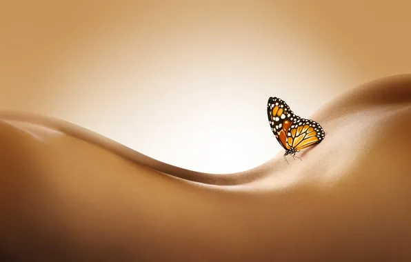 Бабочка, нежность, спина, изгибы