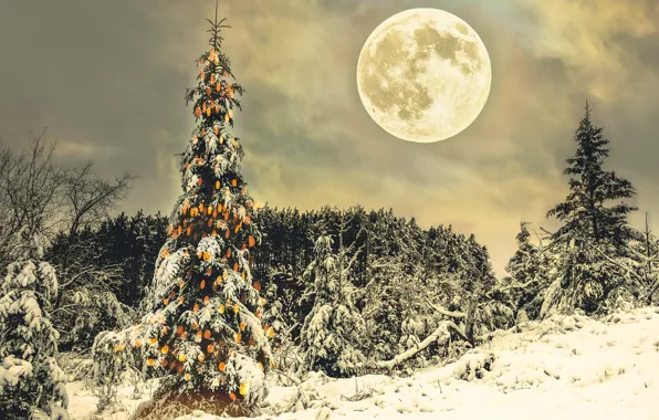 Картинка зима, ночь, праздник, луна, ёлка
