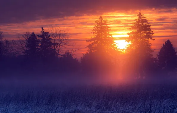 Зима, пейзаж, закат