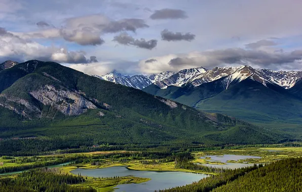 Лес, горы, природа, озеро, Banff National Park, Vermillion Lakes