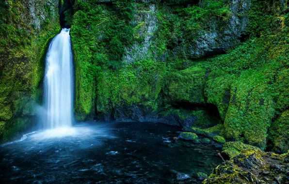 Зелень, лес, скала, камни, водопад, мох, США, Oregon
