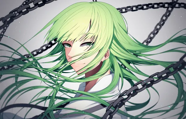 Волосы, аниме, арт, fate/grand order, Enkidu