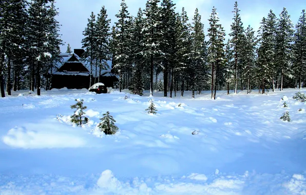 Картинка зима, снег, деревья, дом, автомобиль