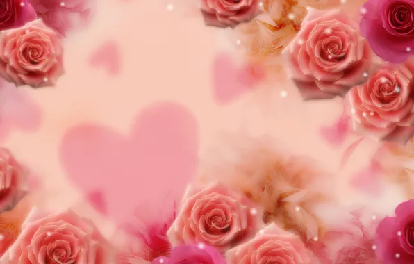Картинка цветок, цветы, фон, сердце, розы, блестки, сердечко