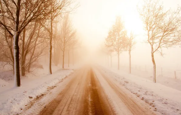 Дорога, снег, туман