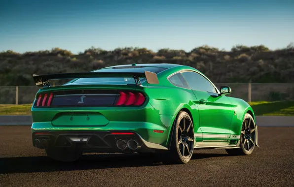 Mustang, Ford, Shelby, GT500, вид сзади, 2020, Green Hornet, EXP 500