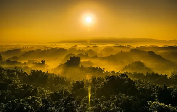Картинка лес, небо, солнце, туман, Холмы