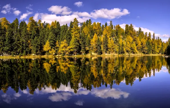 Осень, лес, деревья, озеро, отражение, Швейцария, Switzerland, кантон Граубюнден