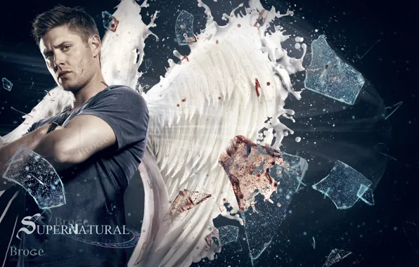 Взгляд, крылья, Дин, Supernatural, Сверхъестественное