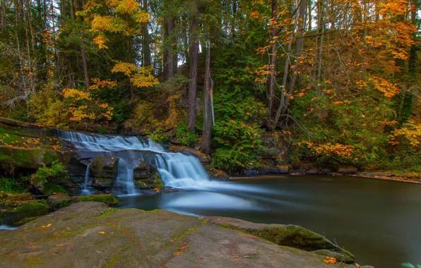 Картинка осень, лес, деревья, река, водопад, Канада, Canada, British Columbia