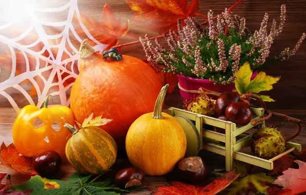 Картинка осень, листья, урожай, тыква, autumn, leaves, still life, pumpkin
