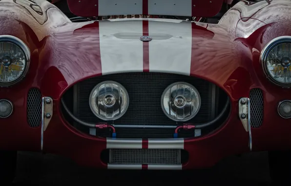 Shelby, передок, Cobra
