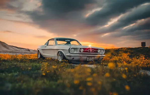 Mustang, Ford, Shelby, Car, Sun, GT350