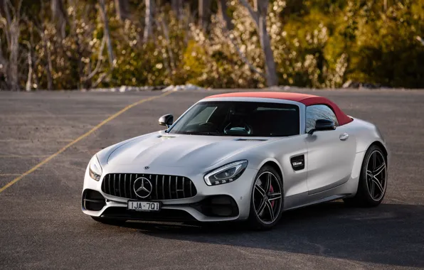 Roadster, Mercedes-Benz, суперкар, AMG, 2018, GT C