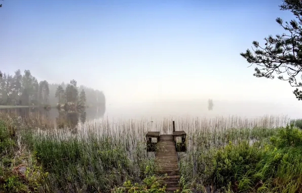 Картинка мост, туман, озеро