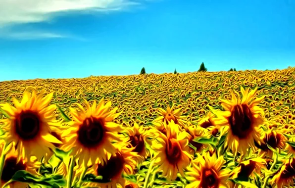 Картинка поле, лето, небо, цвета, подсолнухи, желтый, рендеринг, голубой