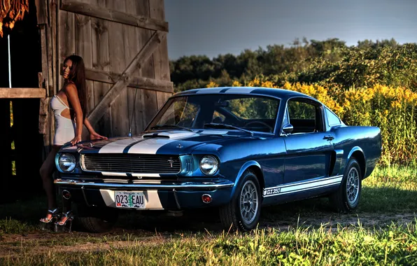 Девушка, Shelby, Ford Mustang, 1966, Muscle car, GT350