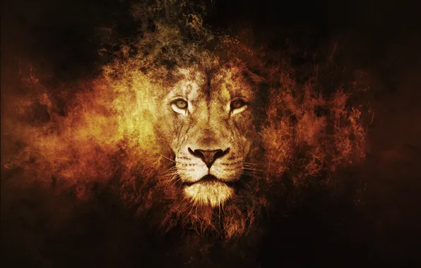 Картинка лев, Fantasy, animals, lion