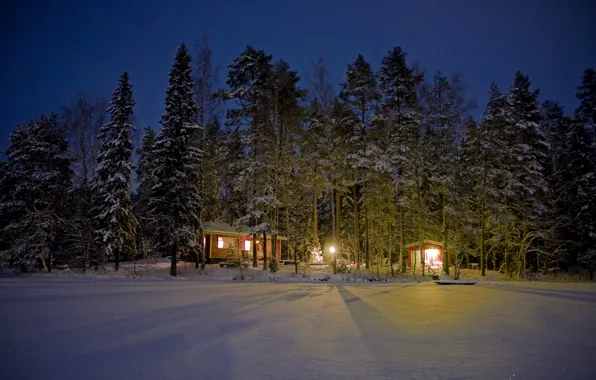 Картинка зима, лес, свет, снег, деревья, ночь, фонари, домики