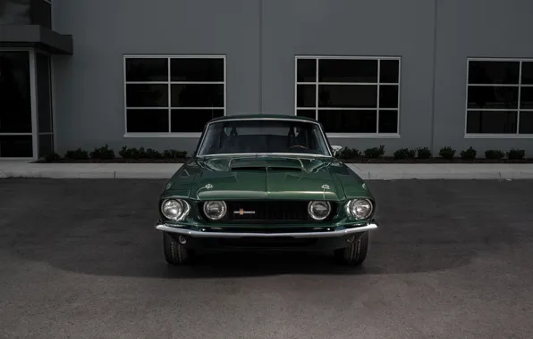 Ford Mustang, 1967, Muscle car, Вид спереди, Shelby GT350