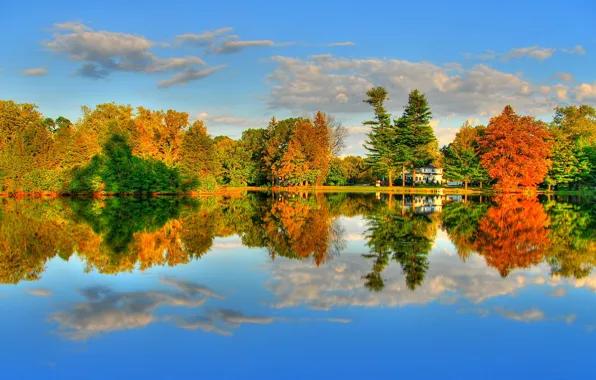 Картинка осень, лес, небо, облака, деревья, озеро, река, настроение