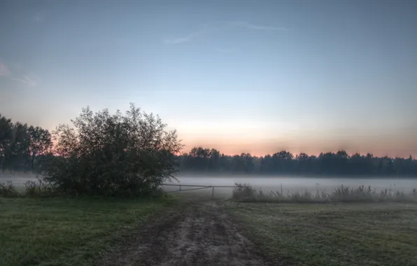 Картинка поле, туман, Природа, утро, field, nature, morning, fog