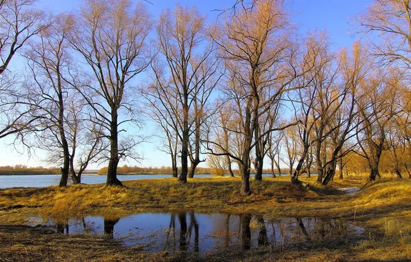 Картинка осень, деревья, река