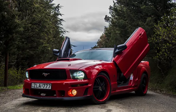 Дорога, лес, красный, тюнинг, Ford, двери, капот, red