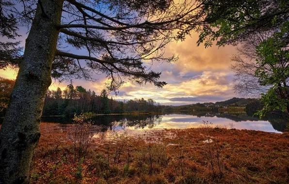 Картинка осень, Норвегия, Norway, Rogaland