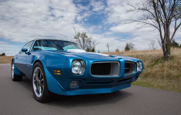 Blue, 1970, pontiac, Trans Am