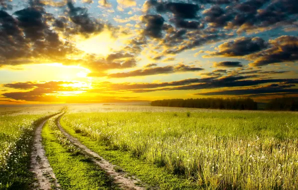 Картинка дорога, небо, трава, солнце, облака, закат, природа, фото
